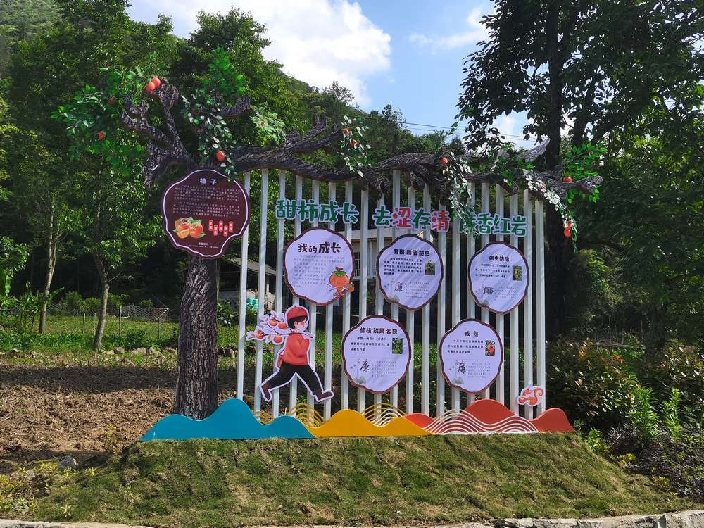 甜柿成長之路