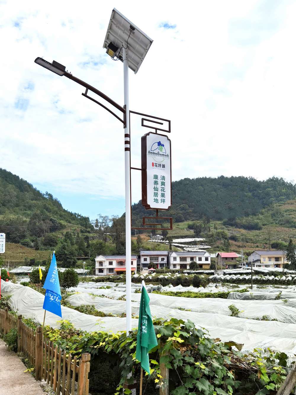 2019花坪鎮(zhèn)路燈建設